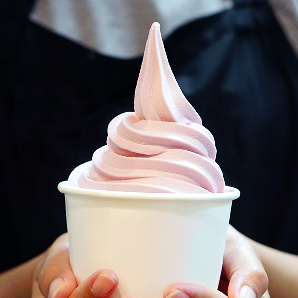 Macchina gelato soft e frozen yogurt Softgel 320 - 336- gelato soft o frozen yogurt